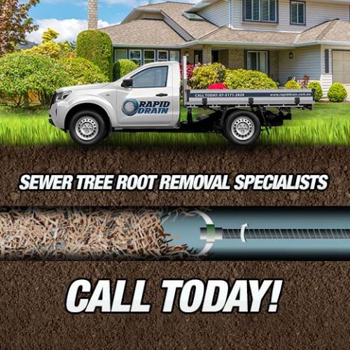 Sewer Tree Root Removal Specialists In Hillcrest
